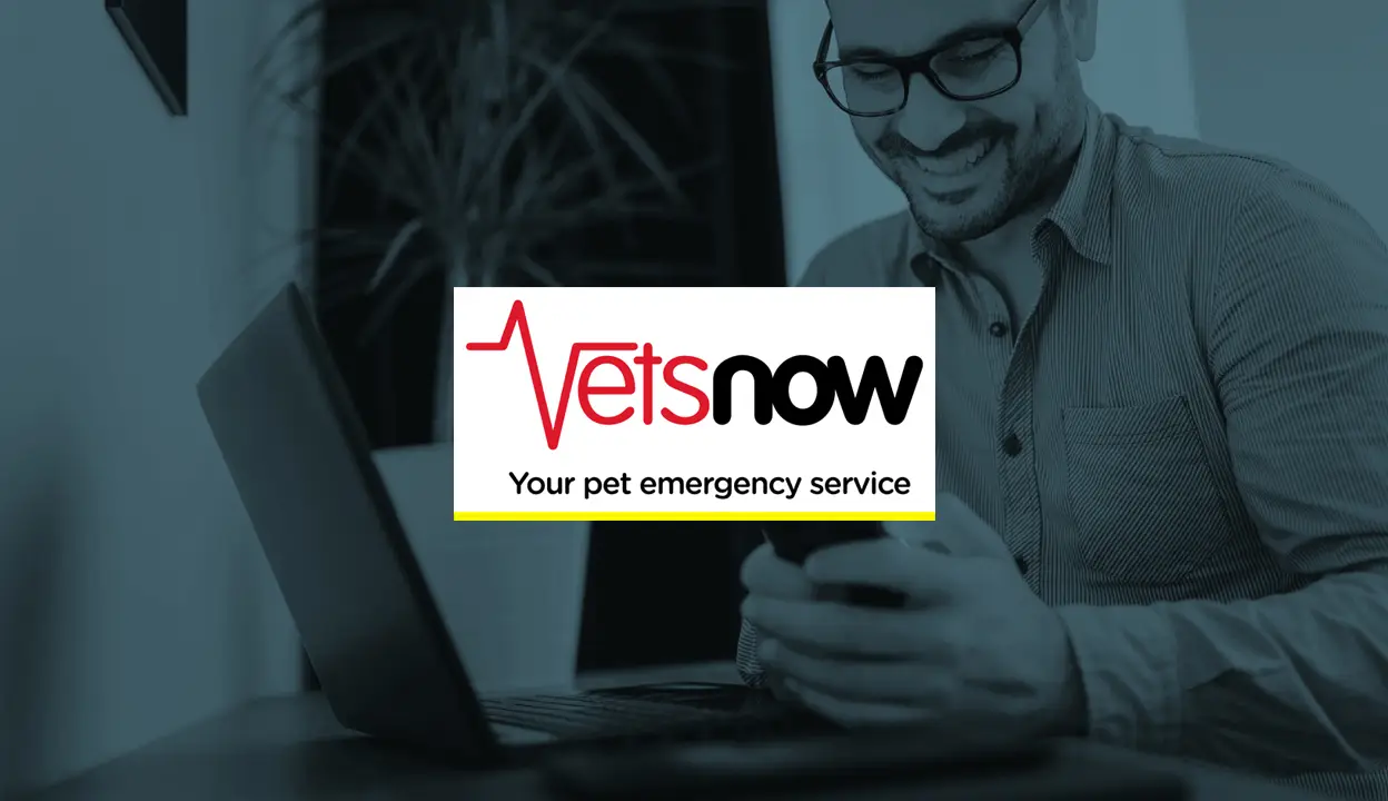 Vets Now image 1248x720